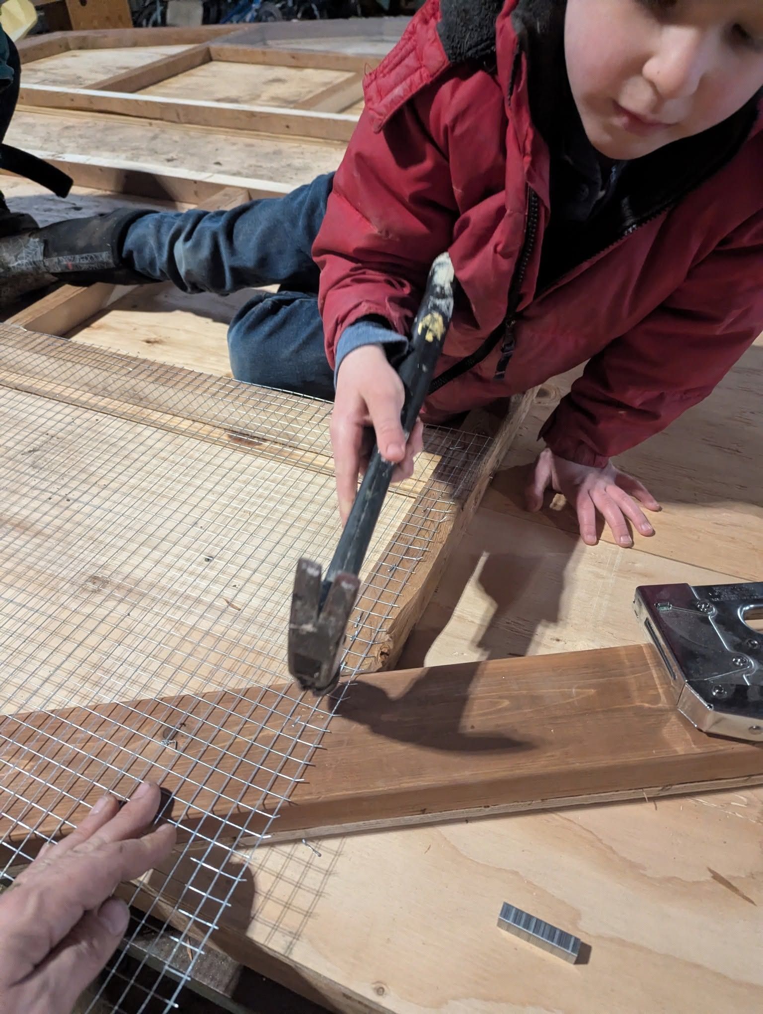 A child in a red jacket hammers wire mesh onto a plywood brooder frame while an adult holds it steady