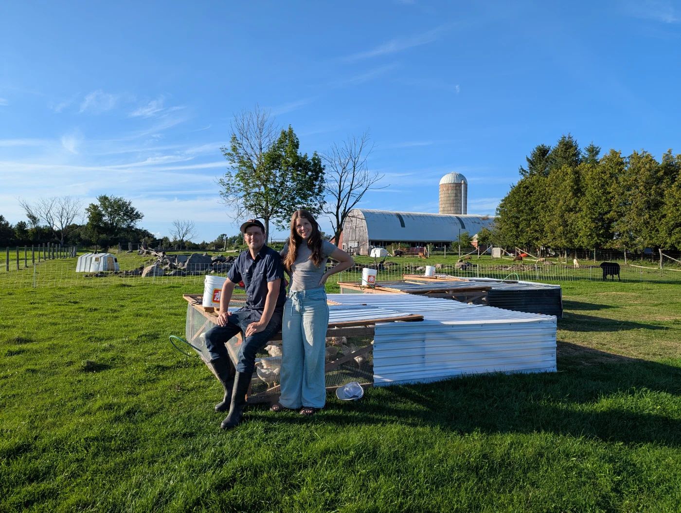 A man and a woman sit on the edge of a pasture pen in a sunny field at Lindisfarn, with the barn and silo behind them