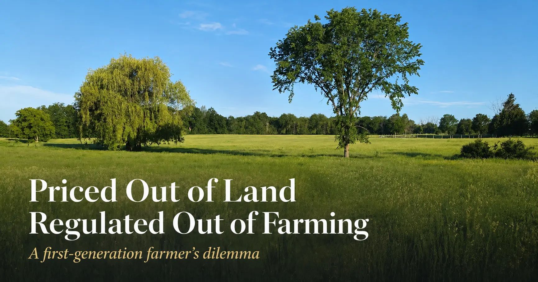 Land and caption: "Priced Out Of Land, Regulated Out Of Farming".